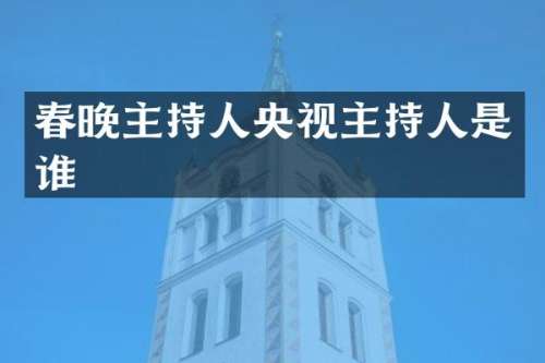 主持人央视主持人是谁
