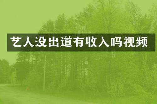 艺人没出道有收入吗视频