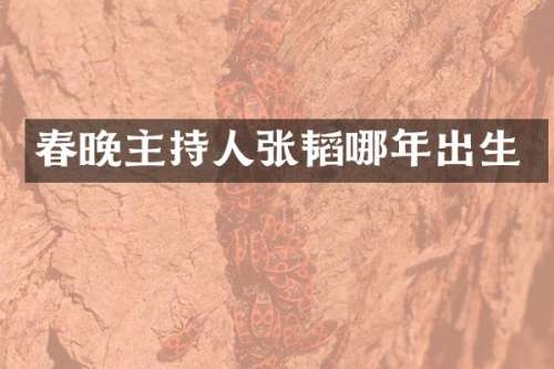 主持人张韬哪年出生