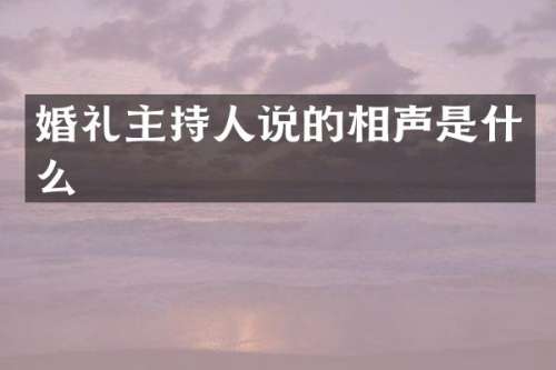 婚礼主持人说的相声是什么