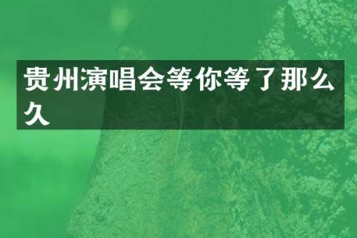 贵州演唱会等你等了那么久