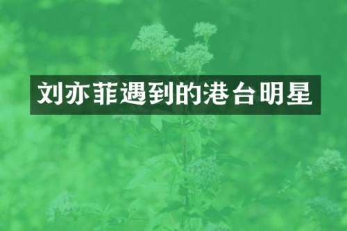 刘亦菲遇到的港台明星