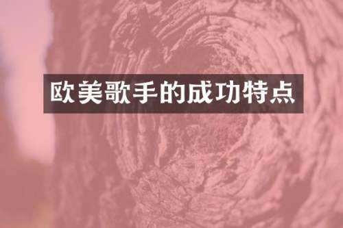 欧美歌手的成功特点