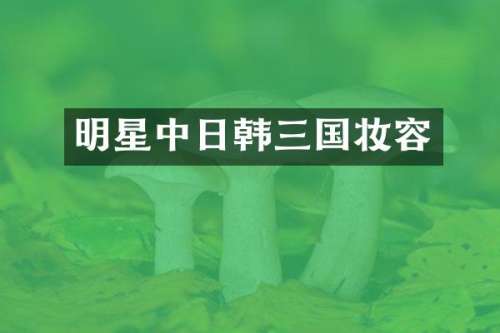 明星中日韩三国妆容