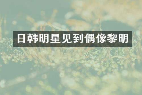 日韩明星见到偶像黎明