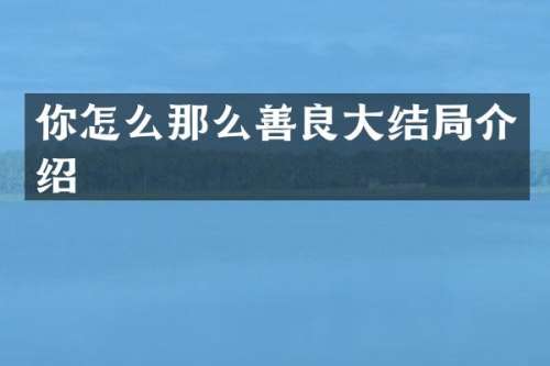 你怎么那么善良大结局介绍