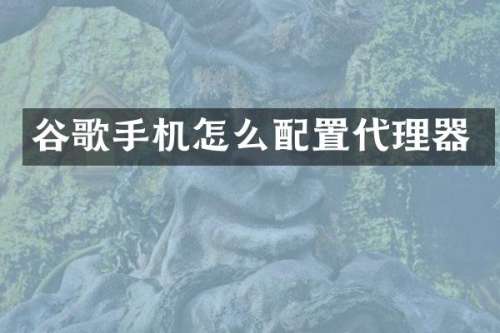 谷歌手机怎么配置代理器