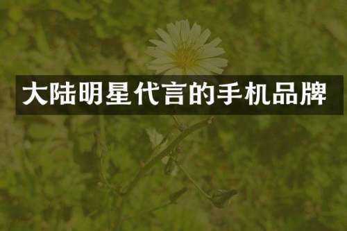 大陆明星代言的手机品牌