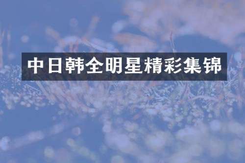 中日韩全明星精彩集锦