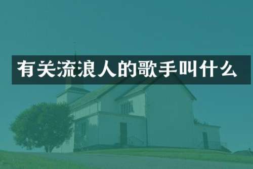 有关流浪人的歌手叫什么