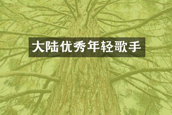 大陆优秀年轻歌手