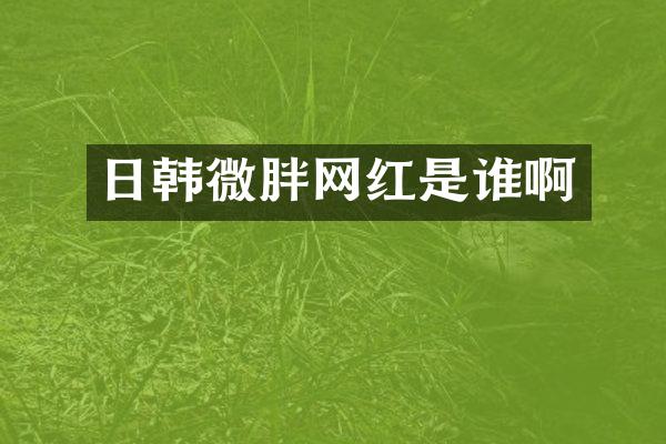 日韩微胖网红是谁啊
