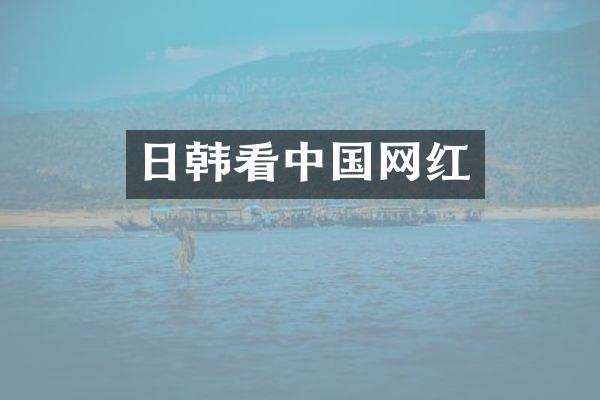 日韩看中国网红
