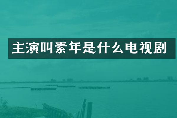 主演叫素年是什么电视剧