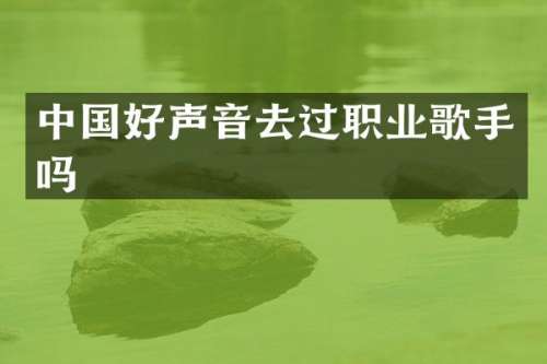 中国好声音去过职业歌手吗