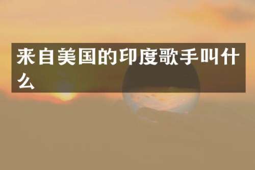 来自美国的印度歌手叫什么