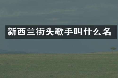 新西兰街头歌手叫什么名