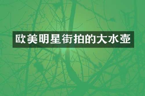 欧美明星街拍的大水壶