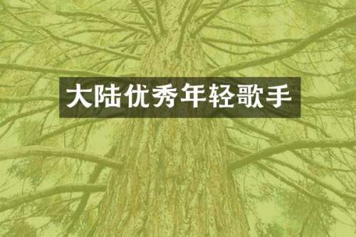 大陆优秀年轻歌手