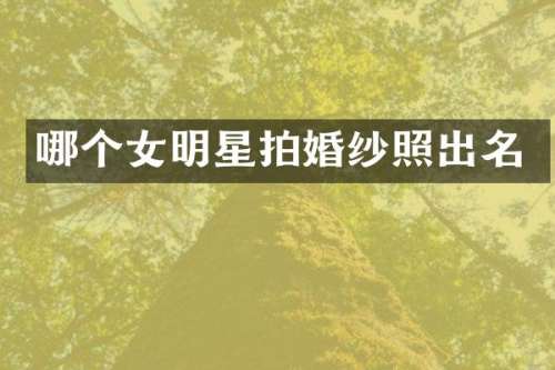 哪个女明星拍婚纱照出名