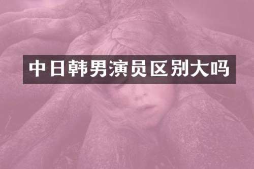 中日韩男演员区别大吗