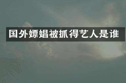 国外被抓得艺人是谁