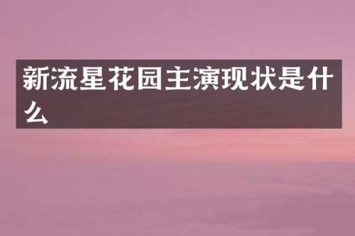 新流星花园主演现状是什么