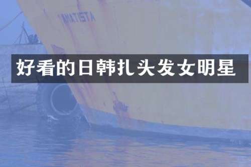 好看的日韩扎头发女明星