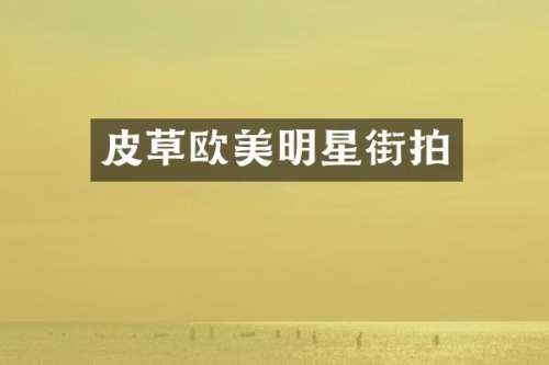 皮草欧美明星街拍