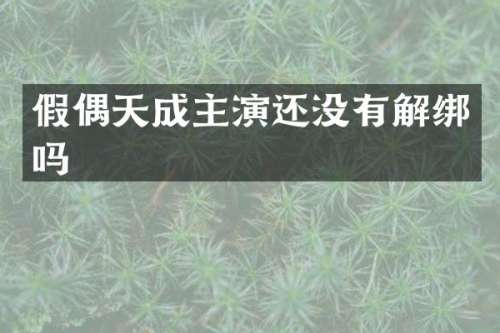 假偶天成主演还没有解绑吗