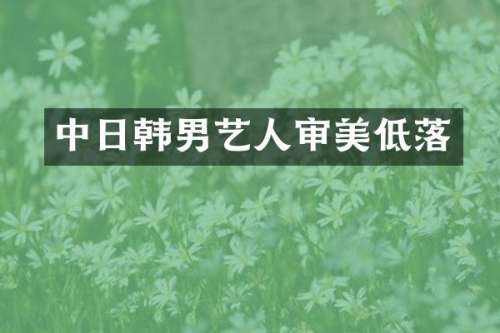 中日韩男艺人审美低落