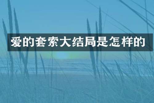 爱的套索大结局是怎样的