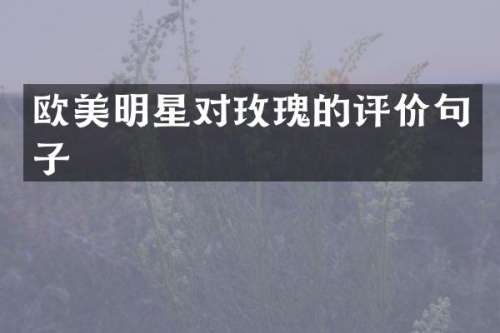 欧美明星对玫瑰的评价句子