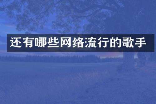 还有哪些网络流行的歌手