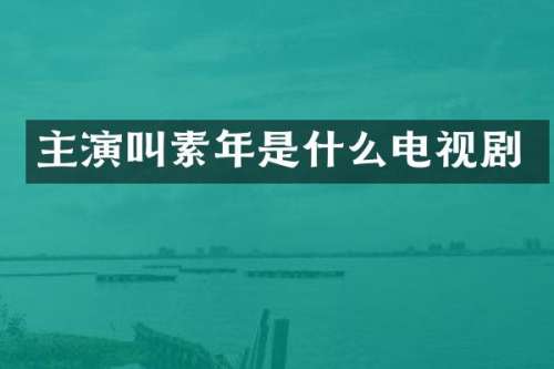 主演叫素年是什么电视剧