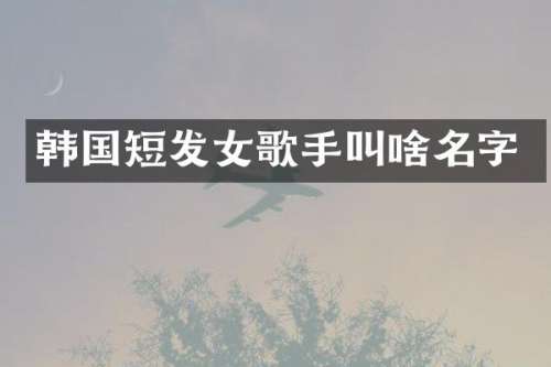 韩国短发女歌手叫啥名字