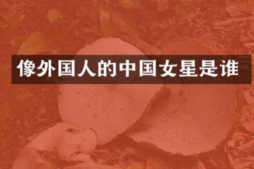 像外国人的中国女星是谁