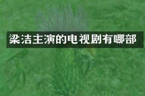 主演的电视剧有哪部