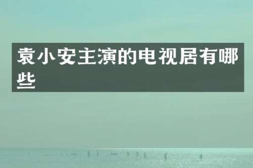 袁小安主演的电视居有哪些