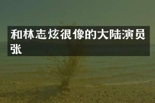 和林志炫很像的大陆演员张
