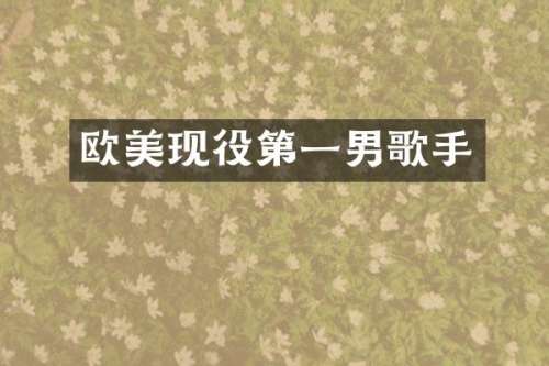 欧美现役第一男歌手
