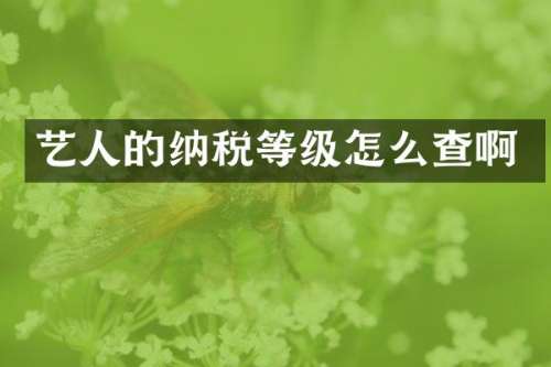 艺人的纳税等级怎么查啊