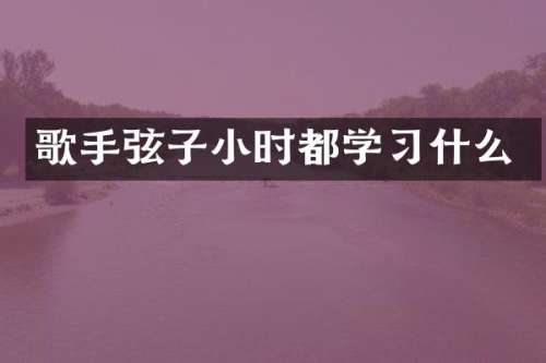 歌手弦子小时都学习什么