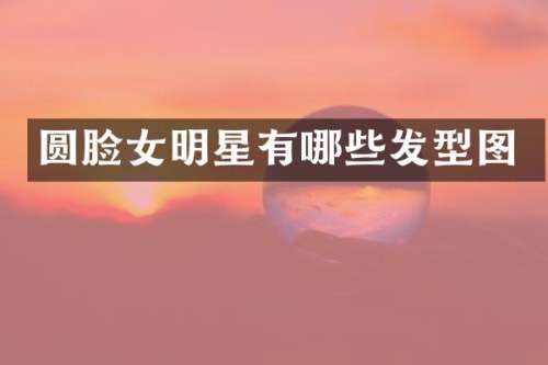 圆脸女明星有哪些发型图