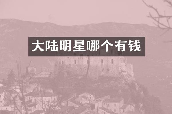 大陆明星哪个有钱