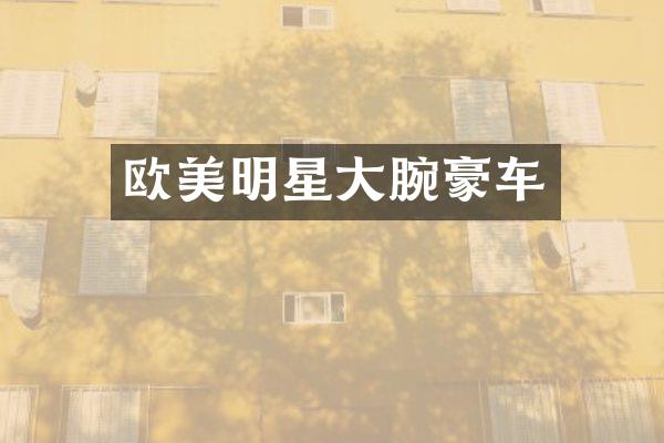 欧美明星大腕豪车