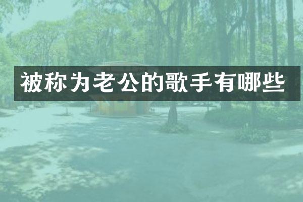 被称为老公的歌手有哪些