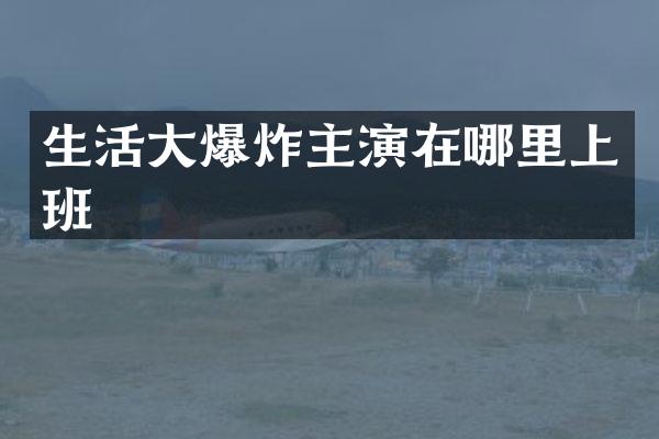 生活大爆炸主演在哪里上班
