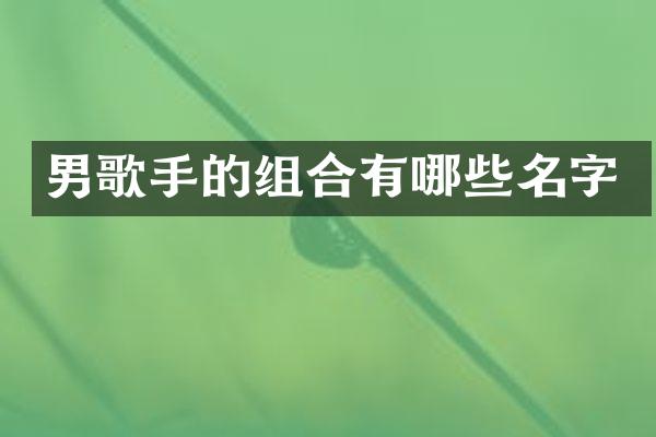 男歌手的组合有哪些名字