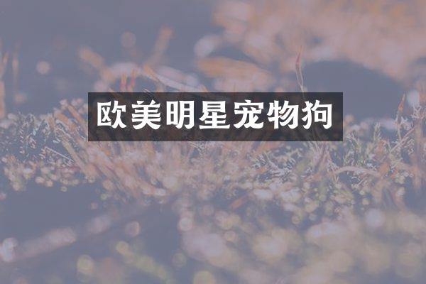 欧美明星宠物狗